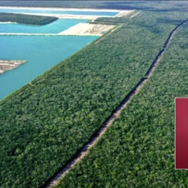 Clausuran Calica, por daño al medio ambiente; anuncian contrademanda