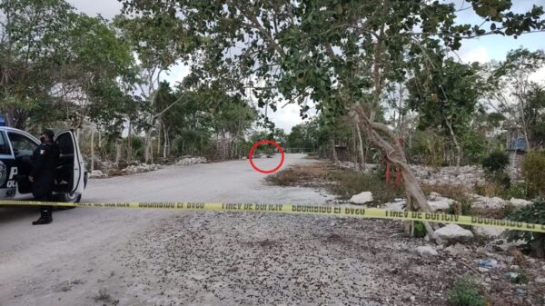 Hallan un ensabanado por la zona del Indio Blanco en la Supermanzana 246 (VIDEO).