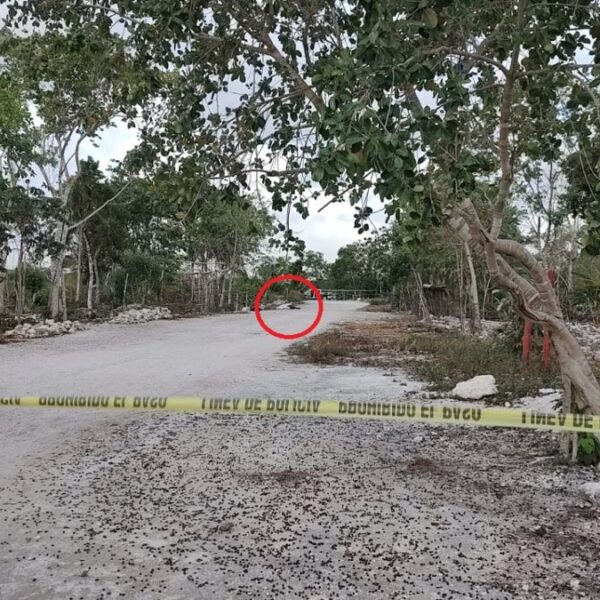 Hallan un ensabanado por la zona del Indio Blanco en la Supermanzana 246 (VIDEO).