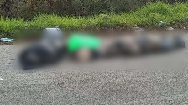 Hallan tres cuerpos embolsados en carretera de Bacalar.
