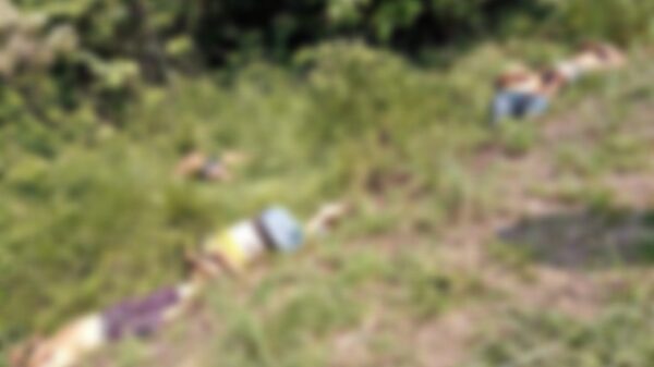 Torturan y ejecutan a siete personas en Chiapas