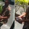 Sujeto agrede con un tabique a menor en taquería de la CdMx (VIDEO).