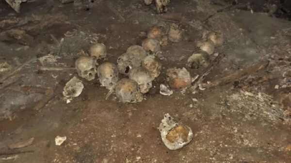 Supuesta fosa clandestina resulta ser hallazgo arqueológico.