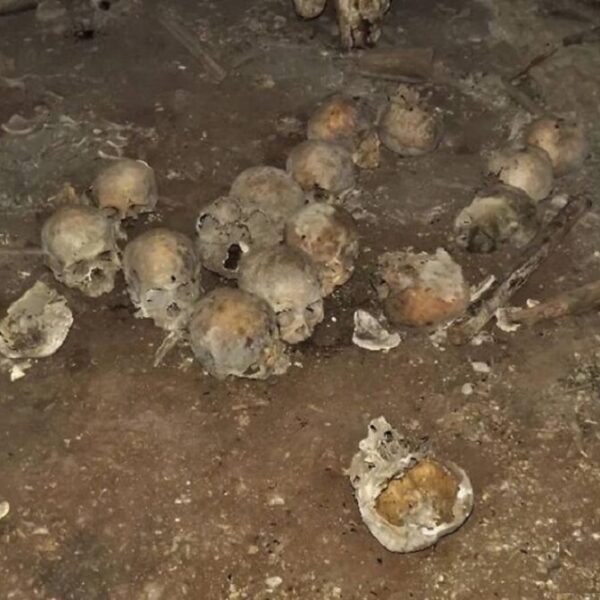 Supuesta fosa clandestina resulta ser hallazgo arqueológico.