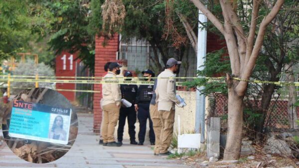 Hallan credencial de Debanhi en una jardinera de Monterrey.
