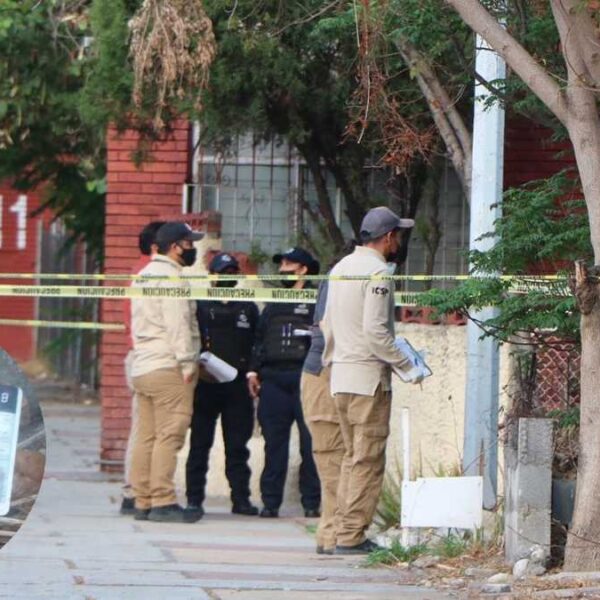 Hallan credencial de Debanhi en una jardinera de Monterrey.