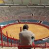 Estocada a las corridas de toros en la Ciudad de México; juez las prohíbe.