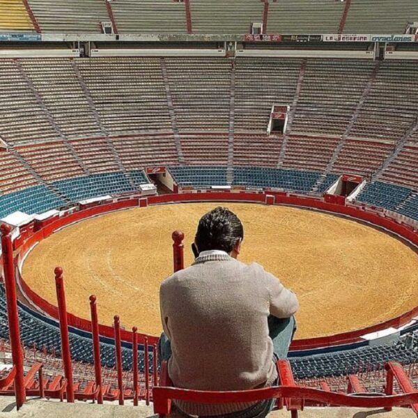 Estocada a las corridas de toros en la Ciudad de México; juez las prohíbe.