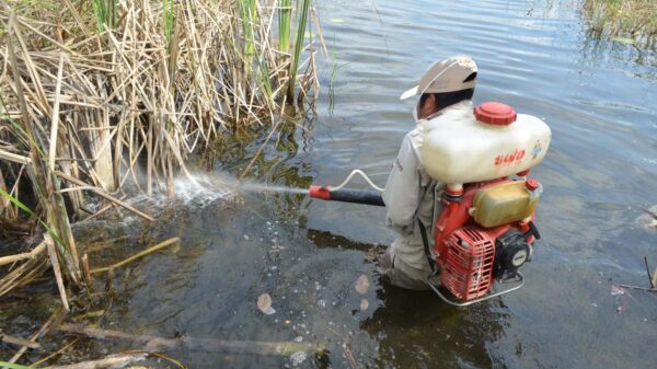 No da tregua Sesa Quintana Roo al paludismo