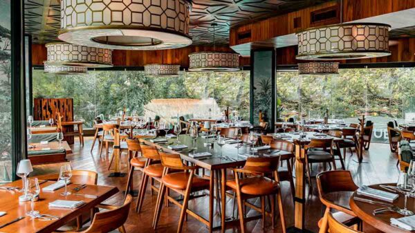 Conoce el nuevo y espectacular diseño de Harry’s Playa del Carmen