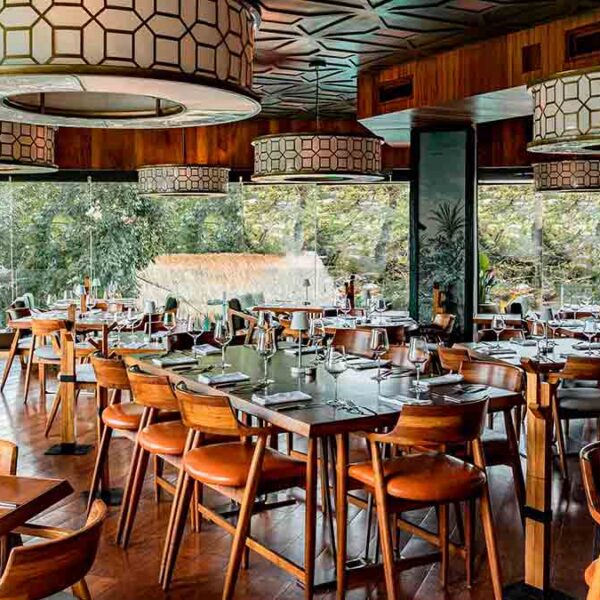 Conoce el nuevo y espectacular diseño de Harry’s Playa del Carmen