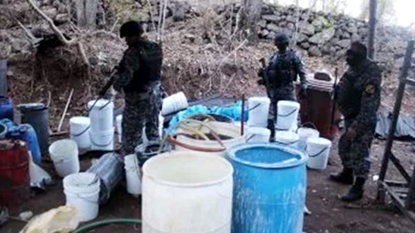 Desmantela Ejército Mexicano 6 "narcolaboratorios" en Sinaloa