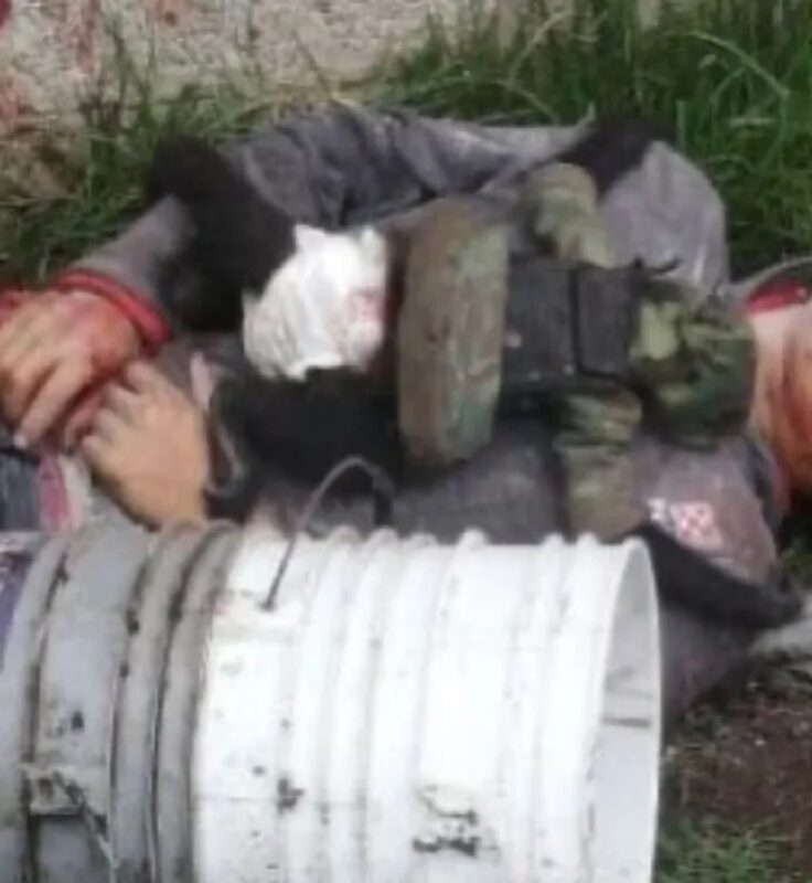 En el enfrentamiento fueron abatidos 10 de los presuntos sicarios y otro falleció cuando recibía atención médica en un hospital; al parecer, el mono era mascota de uno de los presuntos criminales abatidos.