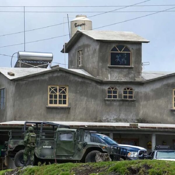 Un simio con chaleco antibalas entre los caídos en Texaltitlán