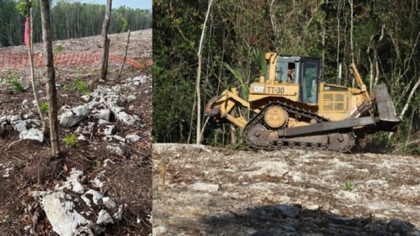 Condicionan reinicio de obras en tramo 5 sur del Tren Maya