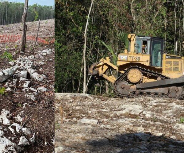 Condicionan reinicio de obras en tramo 5 sur del Tren Maya