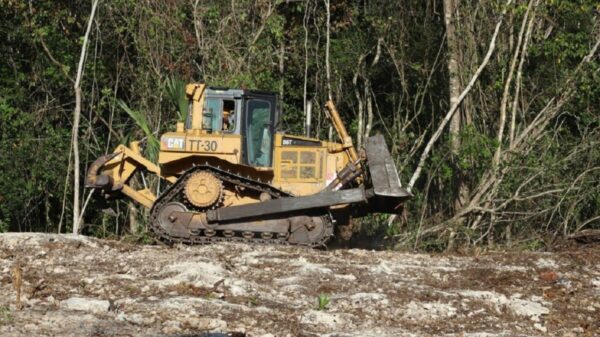 Convoca Semarnat a reunión pública sobre MIA del Tren Maya Tramo 5