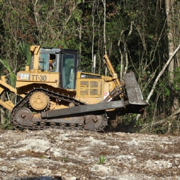 Convoca Semarnat a reunión pública sobre MIA del Tren Maya Tramo 5