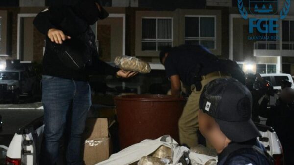 Decomisan más de 200 kilos de drogas en Santa Fe III de Cancún.