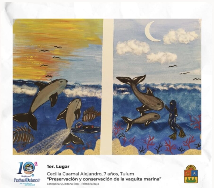 Se recibieron 427 dibujos de alumnos quintanarroenses, del resto de México y el extranjero, marcando un récord histórico del Festival.