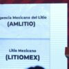 En breve presentarán proyecto de empresa pública para el litio