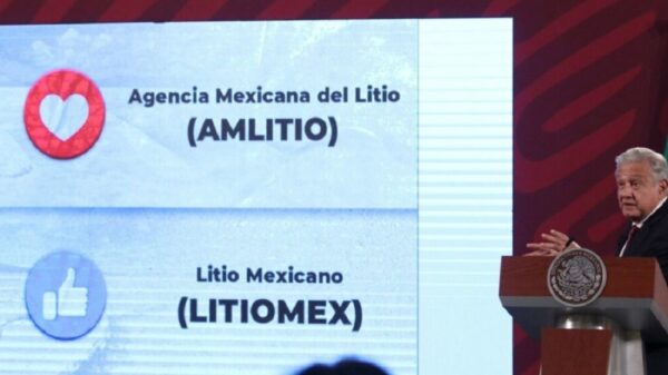 En breve presentarán proyecto de empresa pública para el litio