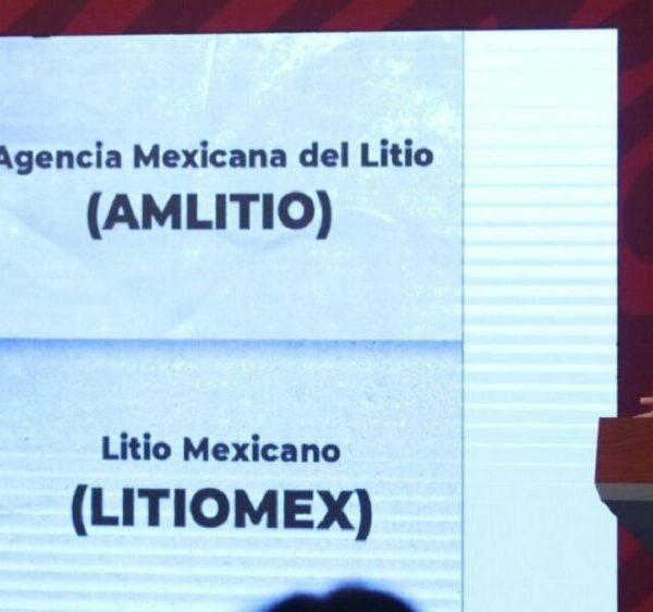 En breve presentarán proyecto de empresa pública para el litio