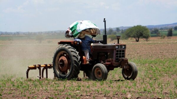 Sequía se extiende en el país; falta de agua afecta ya a sembradíos