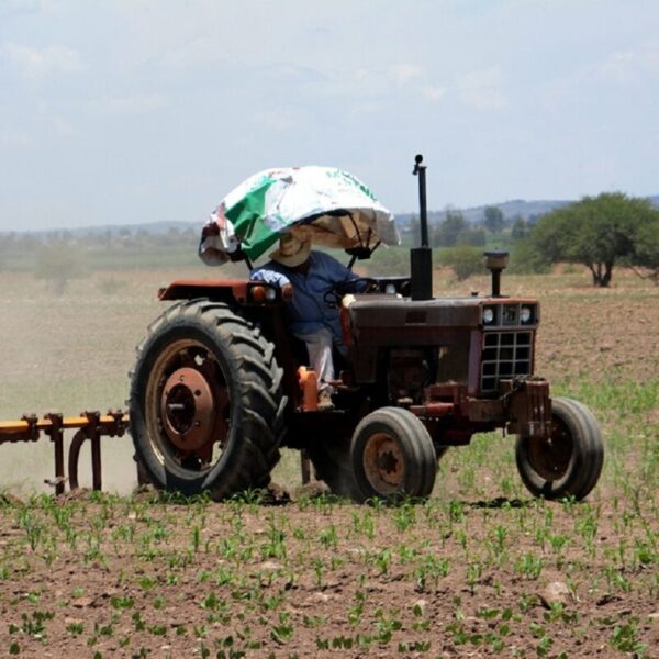 Sequía se extiende en el país; falta de agua afecta ya a sembradíos