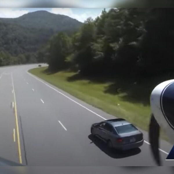 Piloto realiza increíble aterrizaje entre automóviles