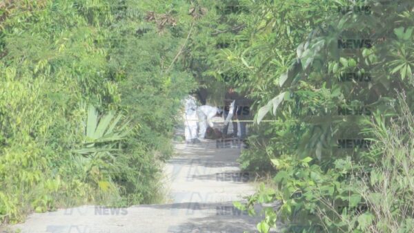 Dos ejecutados en la colonia Santa Cecilia de Cancún (VIDEO).