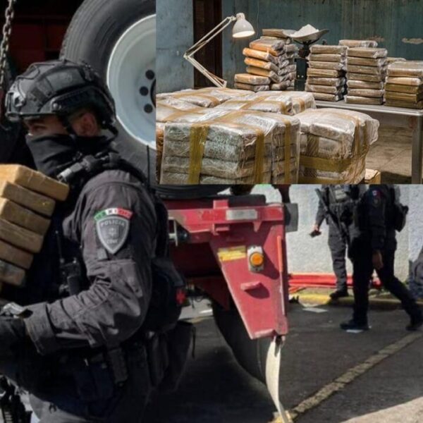 Golpe histórico, decomisan mas de una tonelada de cocaína en CDMX