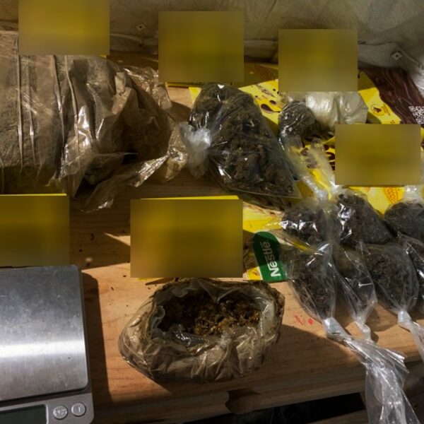 Catean casa y aseguran droga en la Zona Maya de Felipe Carrillo Puerto.