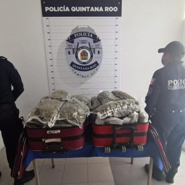 Abandonan en ADO de Cancún dos maletas con mariguana