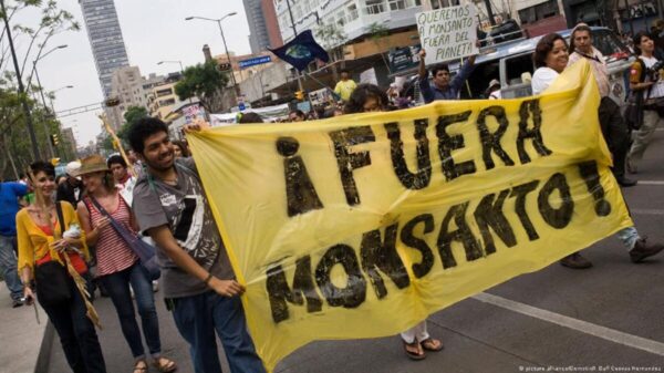 Impugnará el gobierno fallo favorable a Monsanto