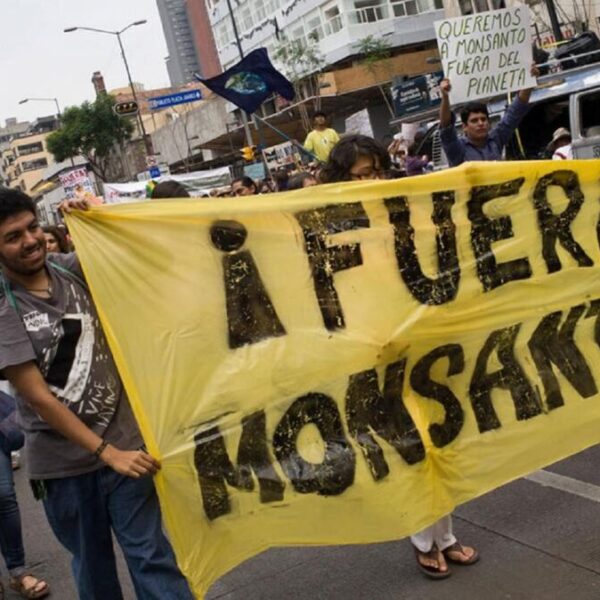 Impugnará el gobierno fallo favorable a Monsanto