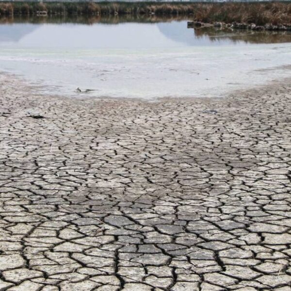 Recuperan agua en NL de ranchos, no así de cerveceras y refresqueras