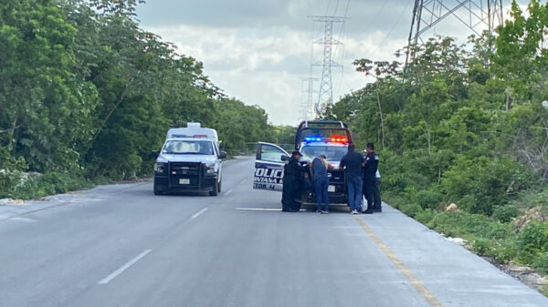 Encuentran restos humanos en la SM 260 de Cancún