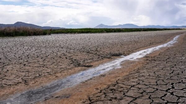 Anuncian inicio de emergencia por sequía severa en México