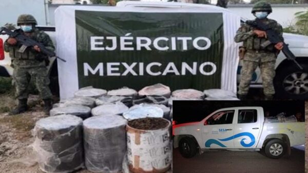 Sedena asegura camioneta de Sesa Quintana Roo cargada de mariguana