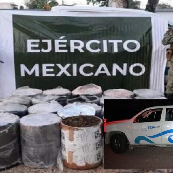 Sedena asegura camioneta de Sesa Quintana Roo cargada de mariguana
