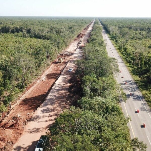 Expropiarán 38 hectáreas para el tramo 5 del Tren Maya