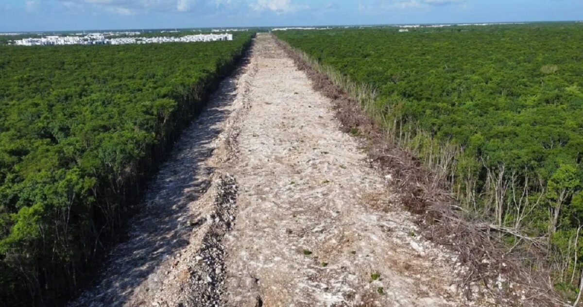 El Juez Primero de Distrito de Yucatán pidió al Gobierno federal entregar una copa del decreto donde se indica que el Tren Maya es una obra de seguridad nacional.