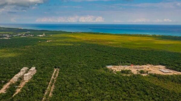 Decreta AMLO área protegida al Parque del Jaguar en Tulum