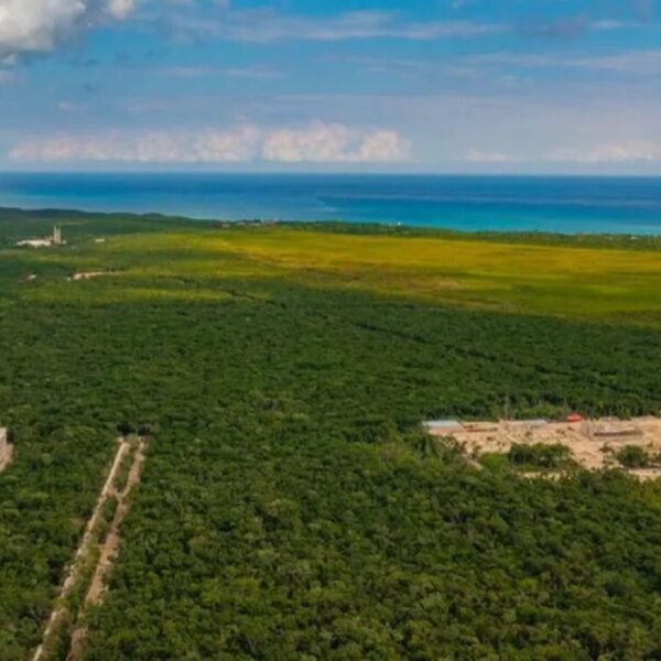 Decreta AMLO área protegida al Parque del Jaguar en Tulum