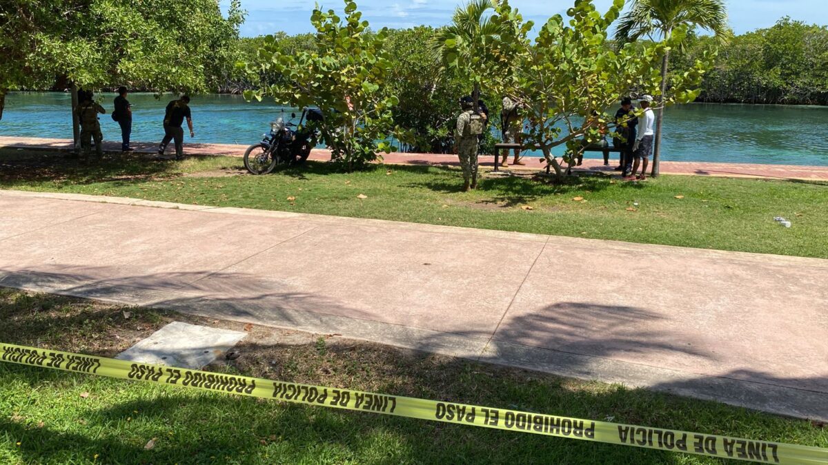 Hallan presuntos restos humanos en la Zona Hotelera de Cancún; peritos de la FGE arribaron hasta el Jardín del Arte para corroborarlo.