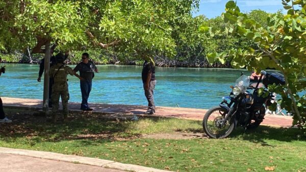 Hallan presuntos restos humanos en la Zona Hotelera de Cancún (VIDEO).