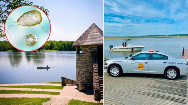 Cierran playa en EU por caso de ‘ameba comecerebros’.