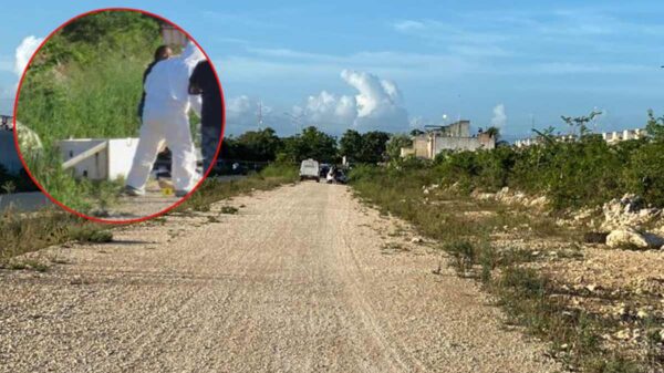 Dejan cadáver en un refrigerador en la Supermanzana 260 de Cancún (VIDEO).