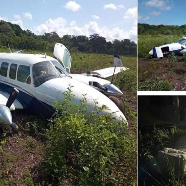 Intercepta la Sedena aeronave con media tonelada de droga en Campeche.